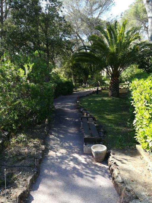 Charmant Studio Valescure Saint Raphael מראה חיצוני תמונה